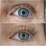 Exosome Lash and Brow Serum 8ml